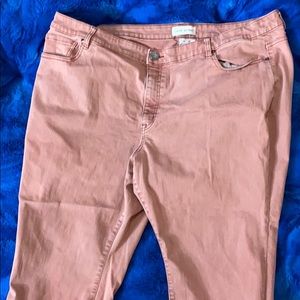 Blush Lane Bryant Pants size 24